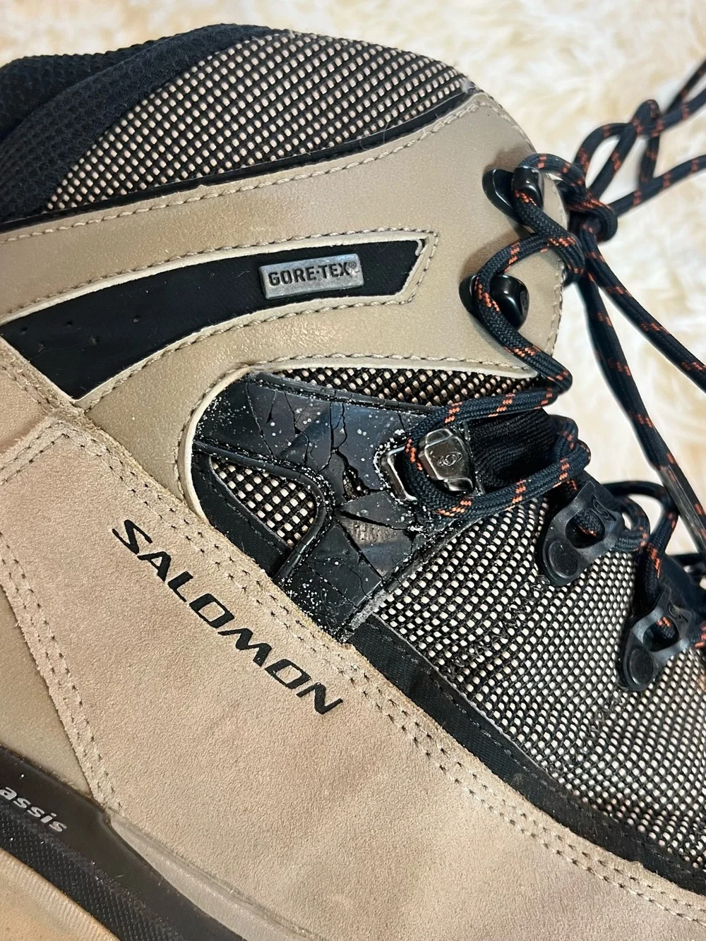 Salomon Men's Explorer GTX Backpacking boot